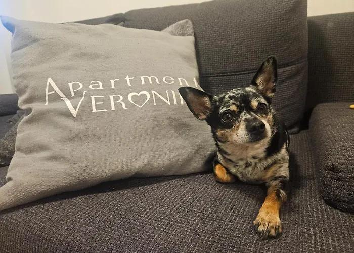 Apartment Veronika